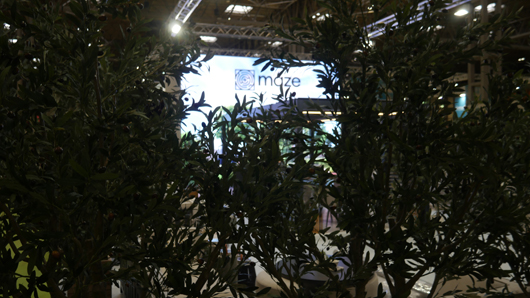 Solex 2024 - Build up GTN080724 011.jpg