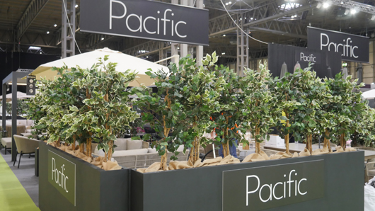 Solex 2024 - Build up GTN080724 062.jpg